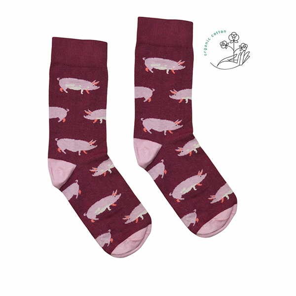 Vegane Socken | KABAK & avesu Animal Friends Socks Pigs